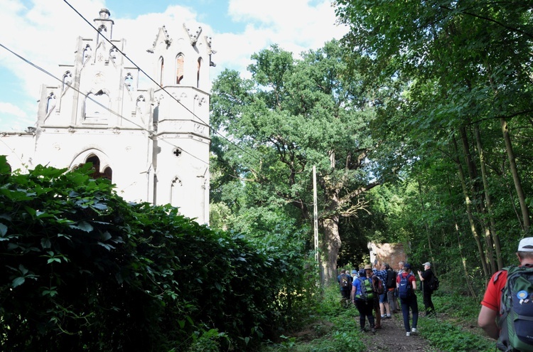 Jubileuszowe Camino Synodalne