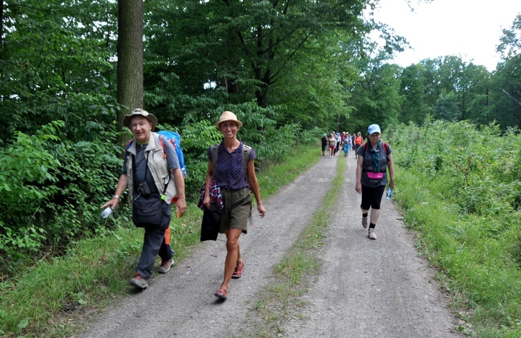 Jubileuszowe Camino Synodalne