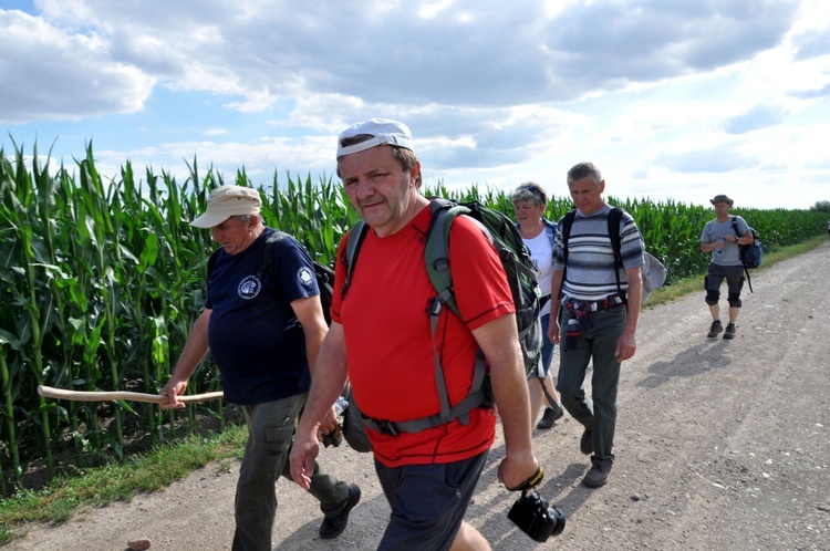 Jubileuszowe Camino Synodalne