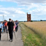 Jubileuszowe Camino Synodalne