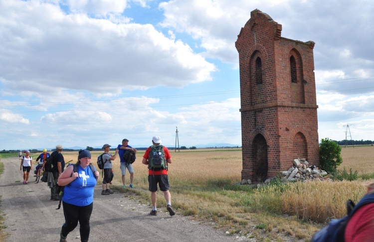 Jubileuszowe Camino Synodalne