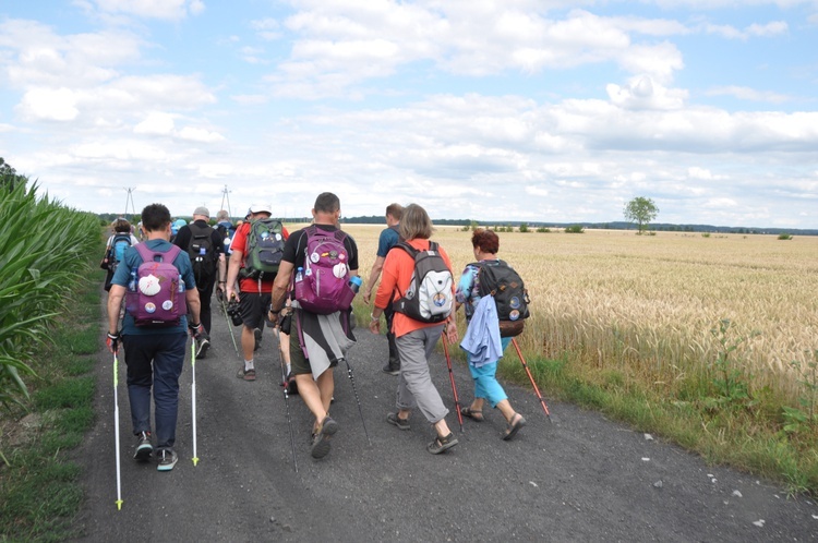 Jubileuszowe Camino Synodalne