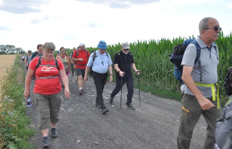 Jubileuszowe Camino Synodalne