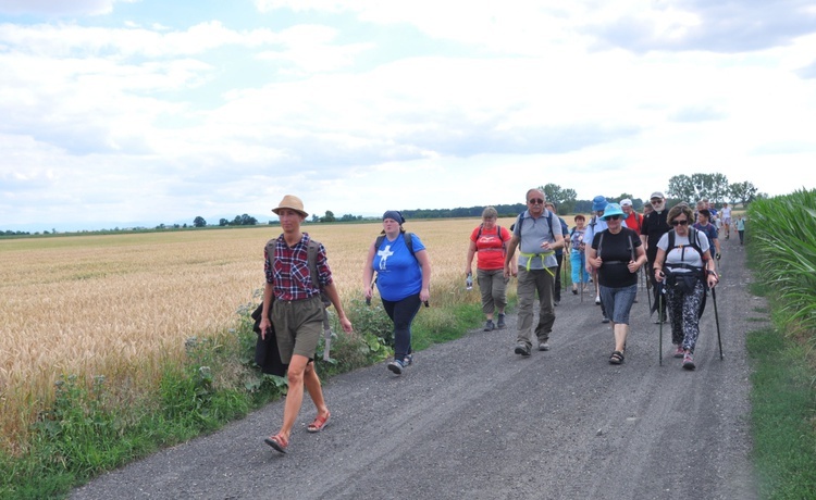 Jubileuszowe Camino Synodalne