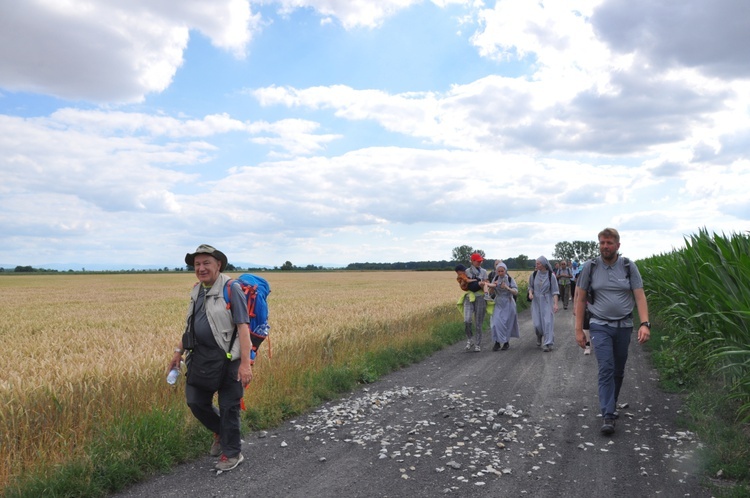 Jubileuszowe Camino Synodalne