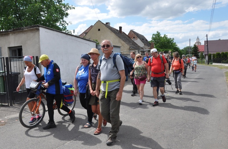 Jubileuszowe Camino Synodalne