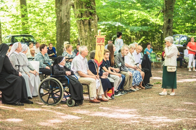 Odpust Matki Bożej Uzdrowienia Chorych w Wejherowie