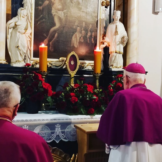 Polkowice. Ogłoszenie patrona miasta