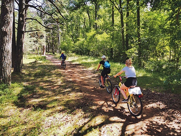 Puszcza jest bardzo atrakcyjna turystycznie. Ma gęstą sieć 360 km szlaków pieszych  i 145 km rowerowych.