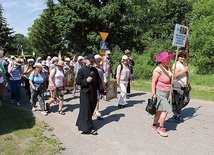 Pątników z Malużyna przez ok. 3 km odprowadzał proboszcz, opowiadając o historii parafii i kościoła.