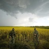 Rosja toczy „wojnę z całym cywilizowanym światem”