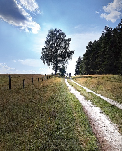 ▲	Wędrówka – zawsze w Boskim towarzystwie.