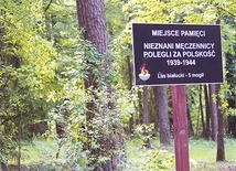 ▲	W lesie białuckim stoją nagrobki i tablice informujące o ofiarach KL Soldau.