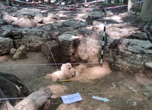 Dąbrowa Górnicza. Archeologiczna sensacja na Bukowej Górze