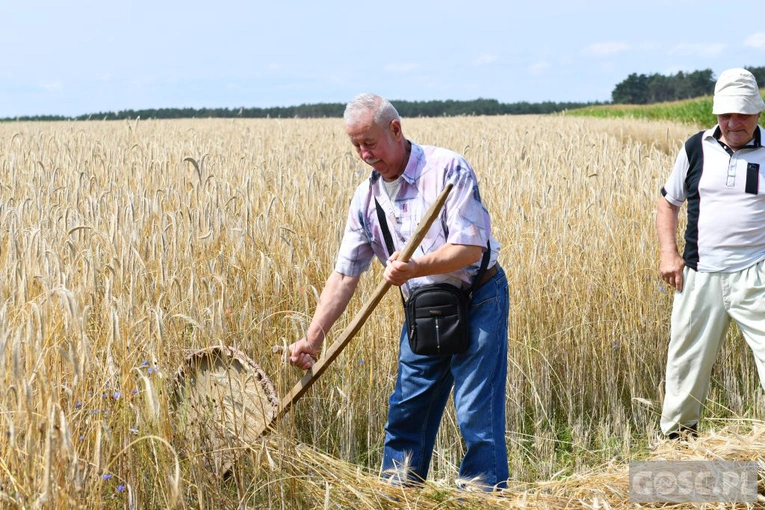 Od ziarenka do bochenka w Białkowie