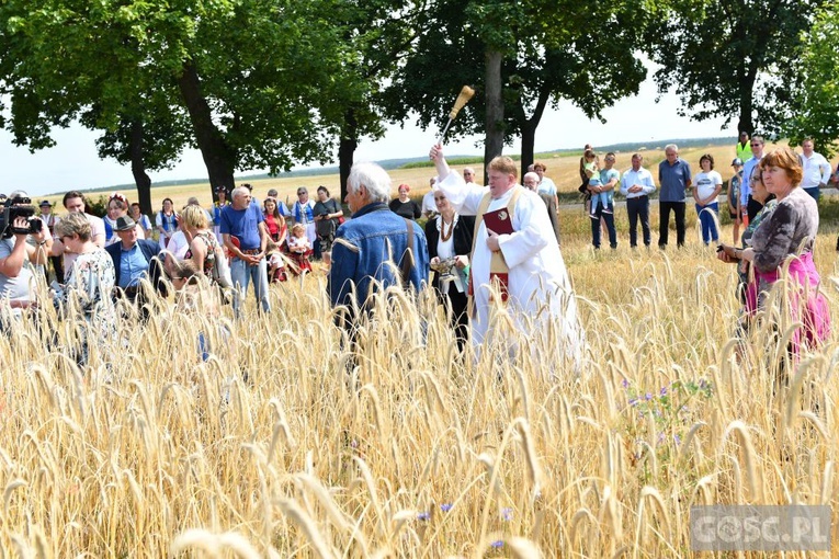 Od ziarenka do bochenka w Białkowie