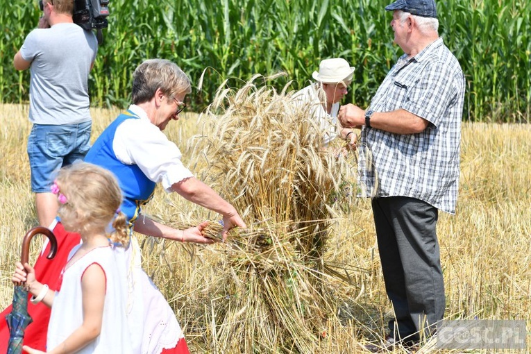 Od ziarenka do bochenka w Białkowie