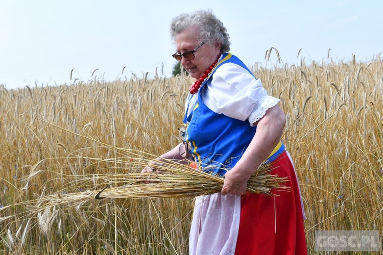 Od ziarenka do bochenka w Białkowie