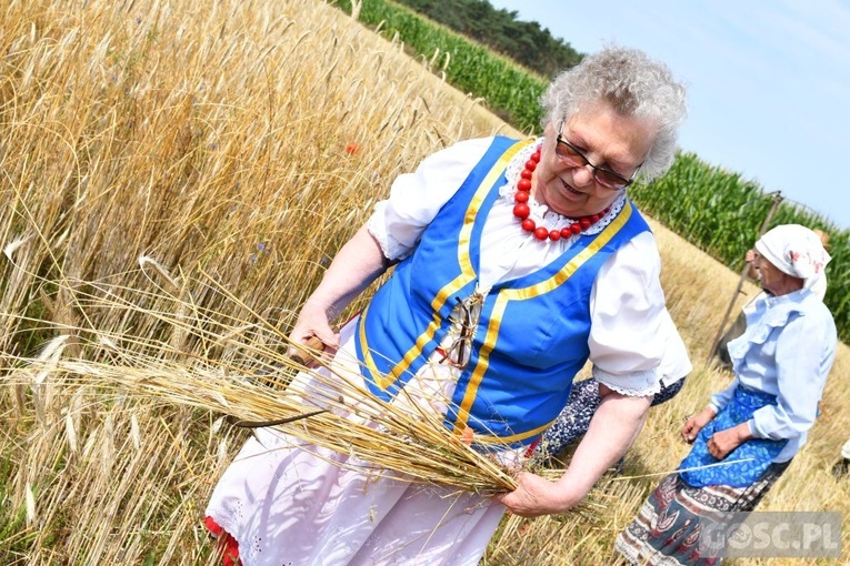 Od ziarenka do bochenka w Białkowie