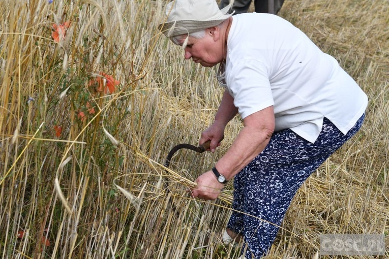 Od ziarenka do bochenka w Białkowie