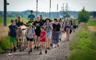 Osiołkowym szlakiem Camino do Bógzapłać