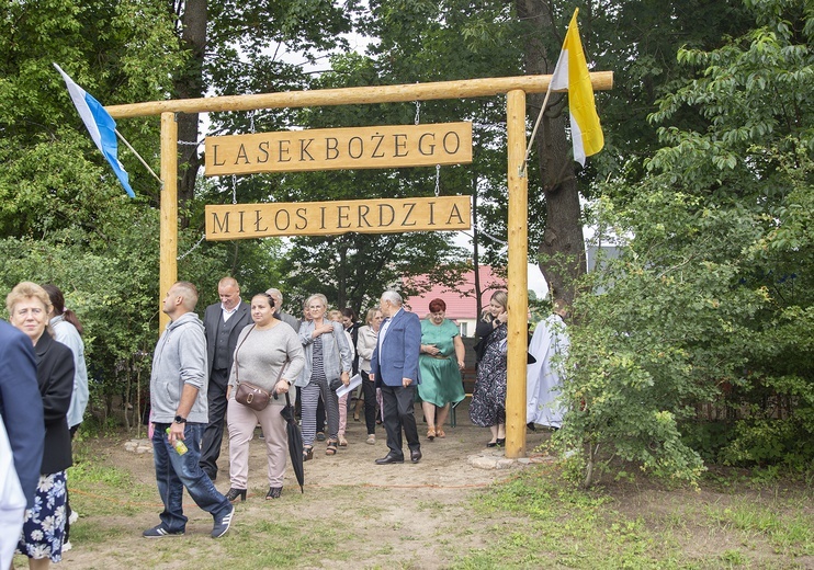 Lasek Miłosierdzia Bożego i Zakątek świętych Joachima i Anny, cz. 2