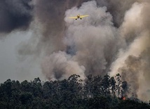 Polska, Włochy i Słowacja odpowiedziały na apel Czech o pomoc w gaszeniu pożaru lasu