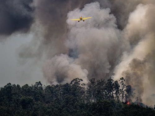 Polska, Włochy i Słowacja odpowiedziały na apel Czech o pomoc w gaszeniu pożaru lasu