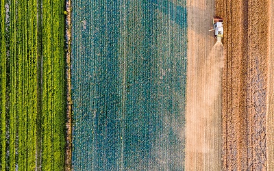 Na południu Polski rozpoczęły się żniwa.
20.07.2022 MałopolskaB