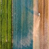 Na południu Polski rozpoczęły się żniwa.
20.07.2022 MałopolskaB