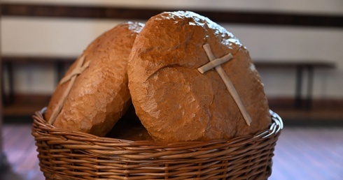 Oazowy dzień wspólnoty