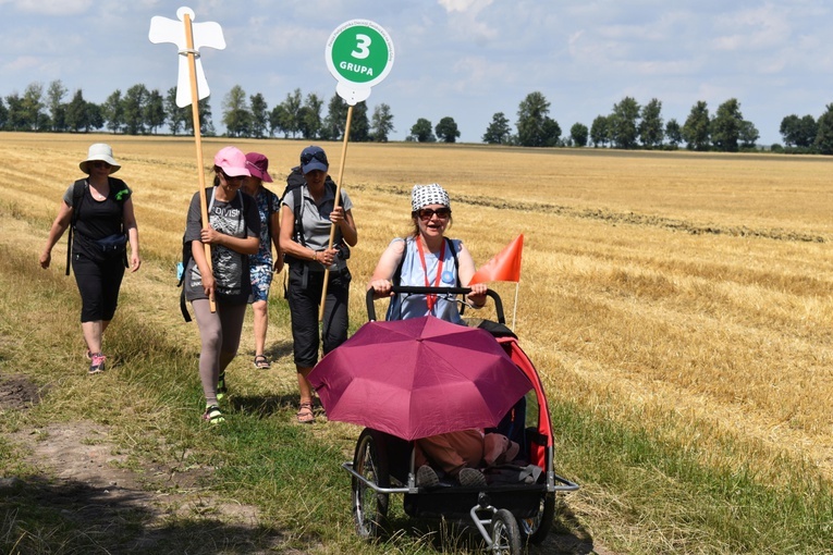 XIX PPDŚ - Dzień II - Z Ratajna do Jagłowej