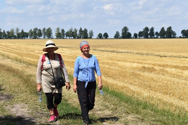 XIX PPDŚ - Dzień II - Z Ratajna do Jagłowej