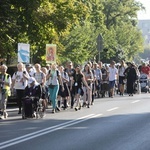 300 pielgrzymów na wózkach i ich opiekunów. 31. Pielgrzymka Osób Niepełnosprawnych