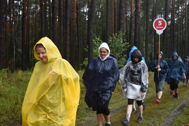 XIX PPDŚ - Dzień VI - Z Laskowic do Leśnej