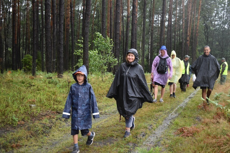 XIX PPDŚ - Dzień VI - Z Laskowic do Leśnej