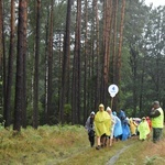 XIX PPDŚ - Dzień VI - Z Laskowic do Leśnej