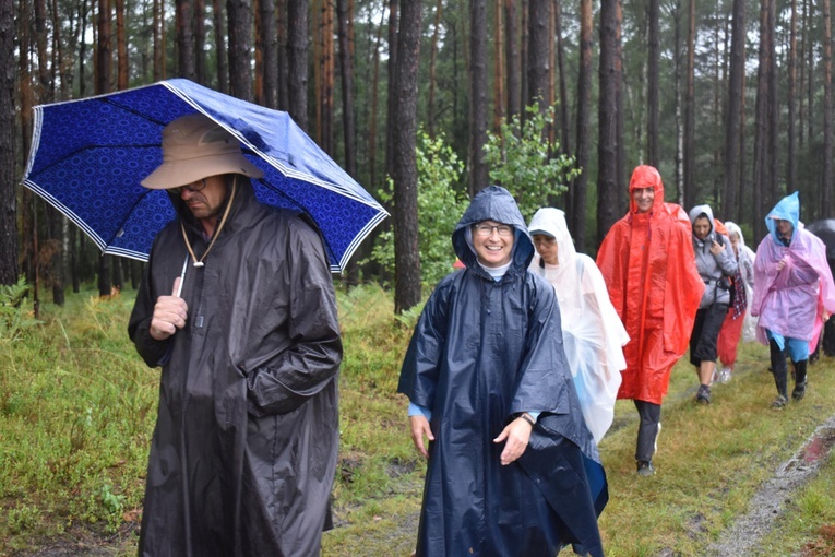 XIX PPDŚ - Dzień VI - Z Laskowic do Leśnej