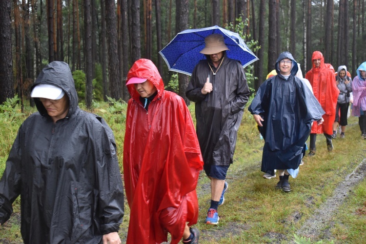 XIX PPDŚ - Dzień VI - Z Laskowic do Leśnej