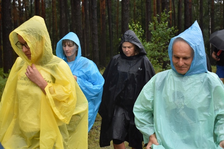 XIX PPDŚ - Dzień VI - Z Laskowic do Leśnej