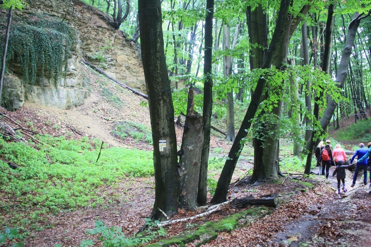 Wycieczka śladami dawnych pustelni i pustelników z Góry Świętej Anny