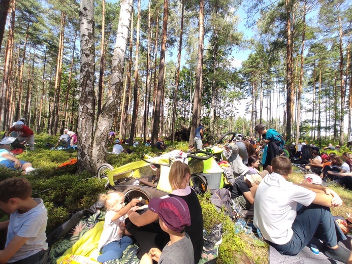 Górka Przeprośna w lesie