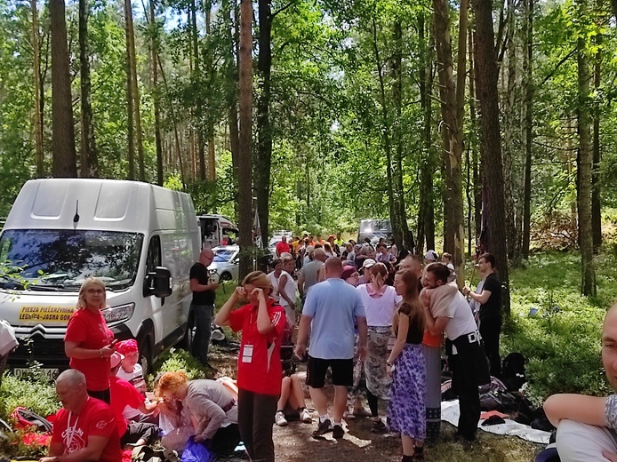 Górka Przeprośna w lesie