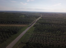 Fotorelacja z pielgrzymki - Dzień 4 - Kolumna stalowowolska