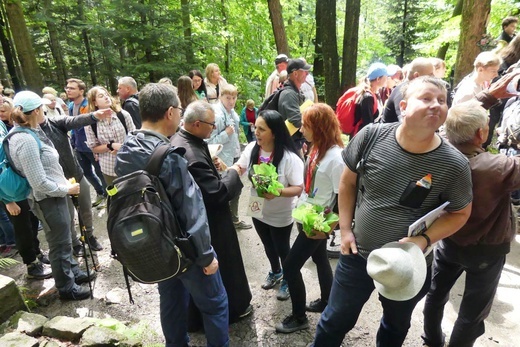 W "bukowej bazylice" na Trzonce - odpust ku czci Matki Bożej Śnieżnej 2022