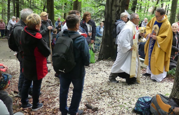 W "bukowej bazylice" na Trzonce - odpust ku czci Matki Bożej Śnieżnej 2022