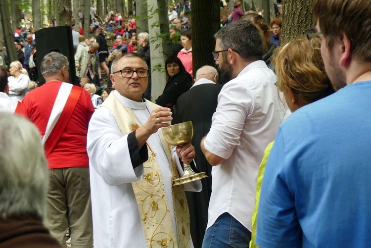 W "bukowej bazylice" na Trzonce - odpust ku czci Matki Bożej Śnieżnej 2022