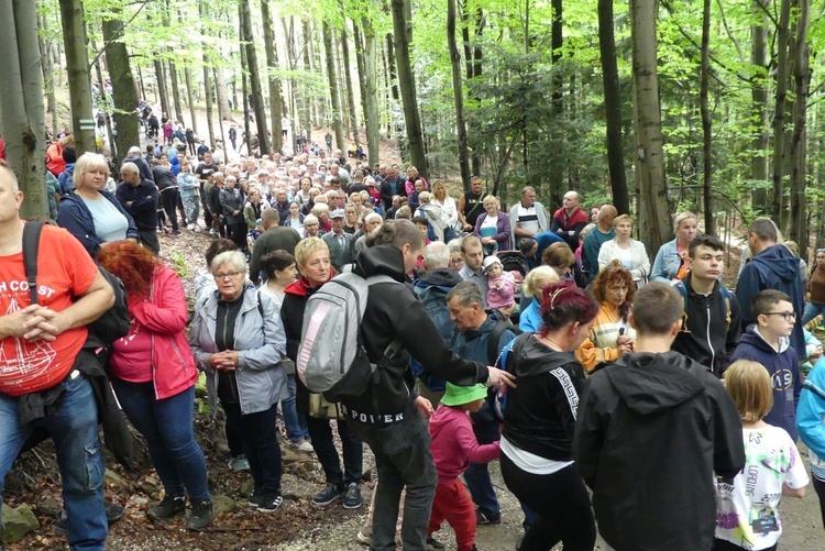 W "bukowej bazylice" na Trzonce - odpust ku czci Matki Bożej Śnieżnej 2022