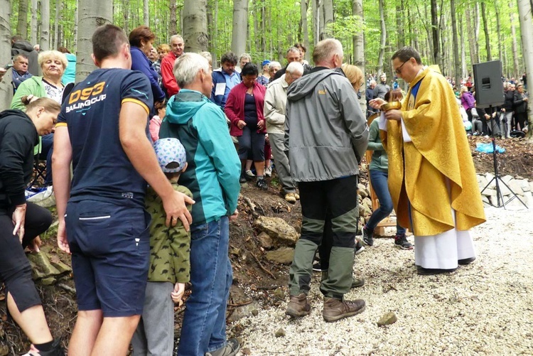 W "bukowej bazylice" na Trzonce - odpust ku czci Matki Bożej Śnieżnej 2022