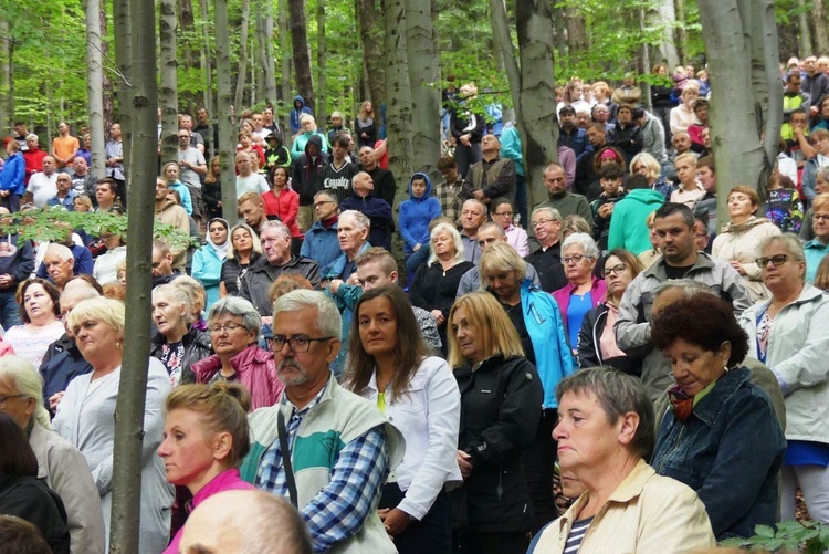 W "bukowej bazylice" na Trzonce - odpust ku czci Matki Bożej Śnieżnej 2022